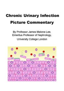 Chronic UTI Worksheet